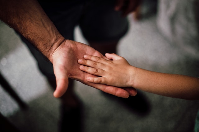 adult and child hands